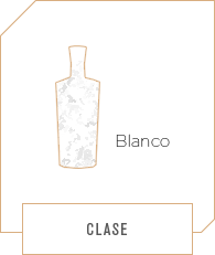 Categoria