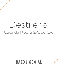 Categoria